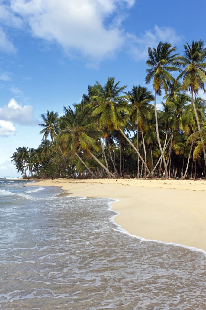 Turquoise Tropical Paradise Beach